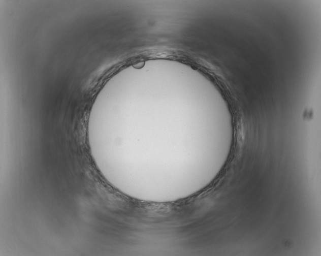 X0000113941446200909250928