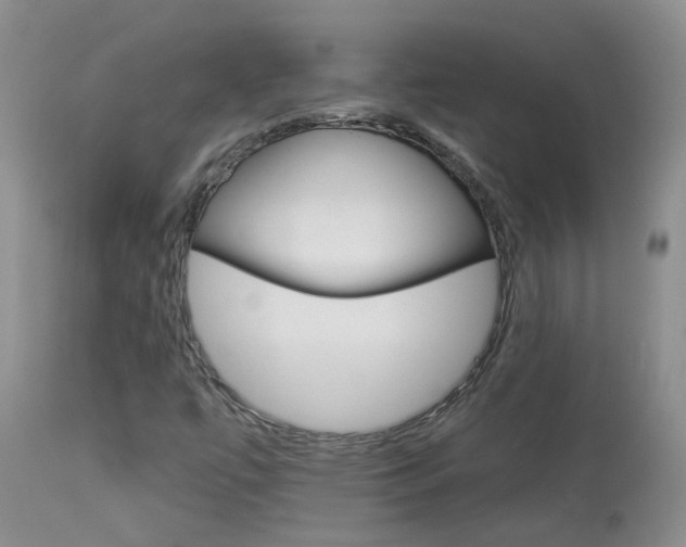 X0000113941447200909250928