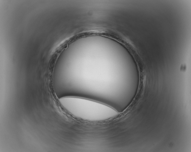 X0000113941448200909250928