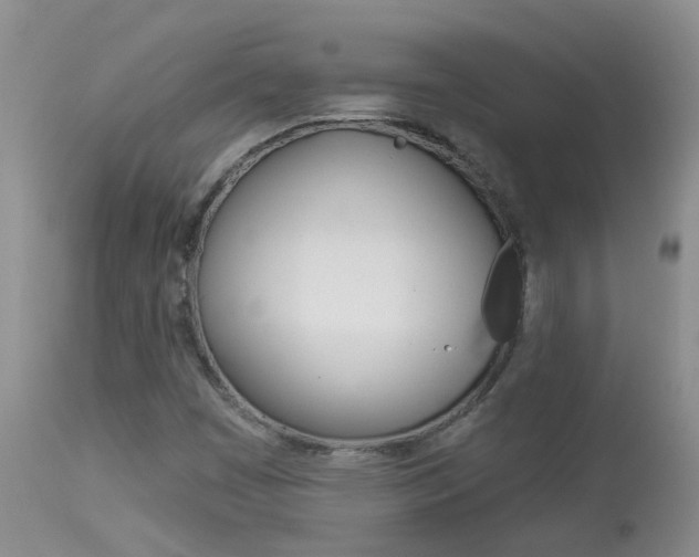 X0000113941449200909250928