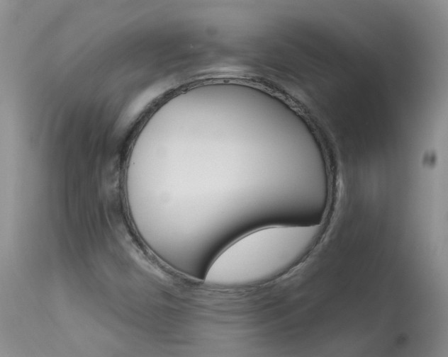 X0000113941450200909250928