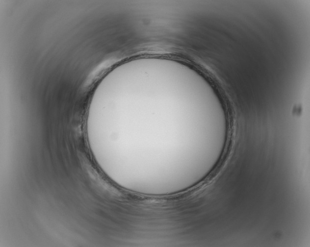 X0000113941451200909250928