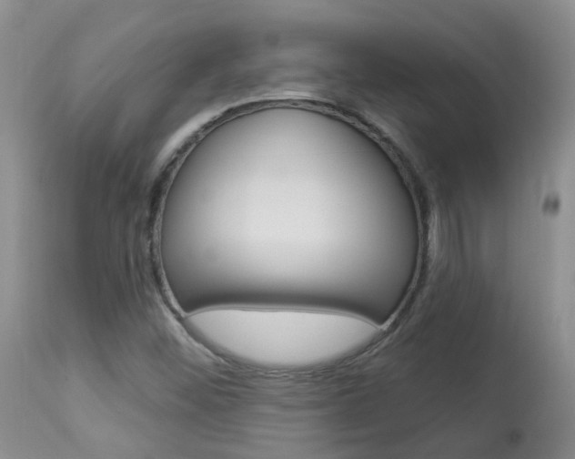 X0000113941452200909250928