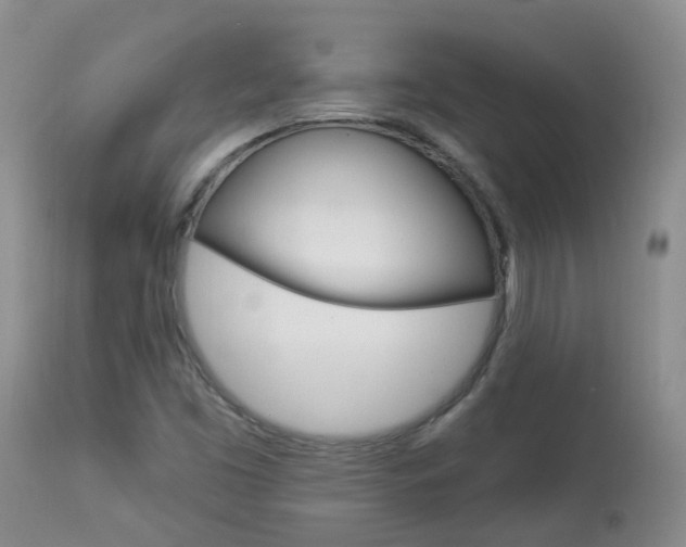 X0000113941453200909250928