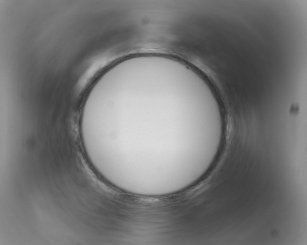 X0000113941454200909250928
