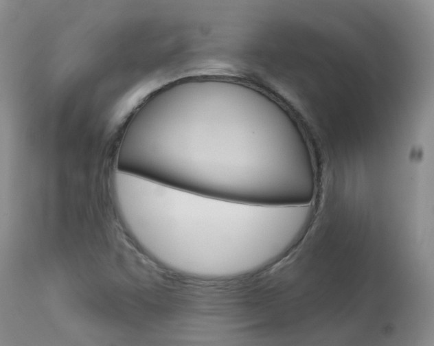 X0000113941455200909250928