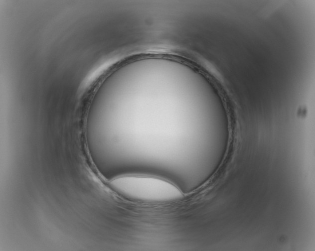 X0000113941456200909250928