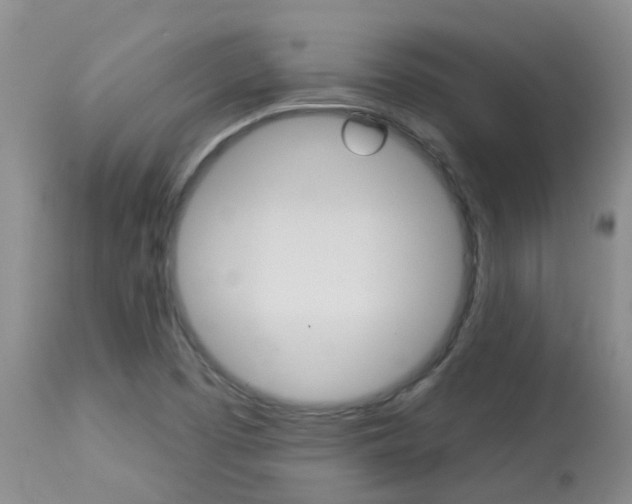 X0000113941457200909250928