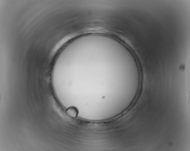 X0000113941458200909250928
