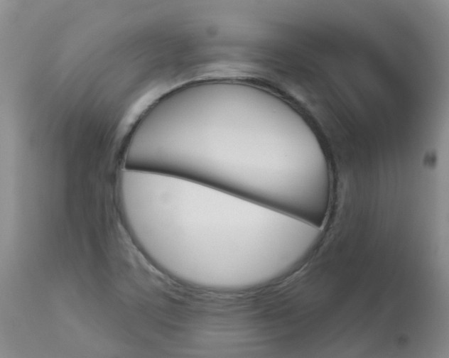 X0000113941459200909250928