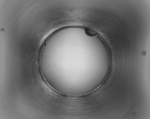 X0000113941460200909250928