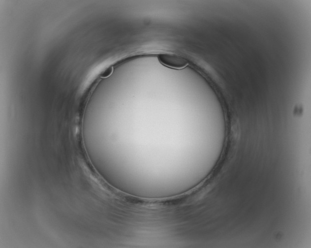 X0000113941461200909250928