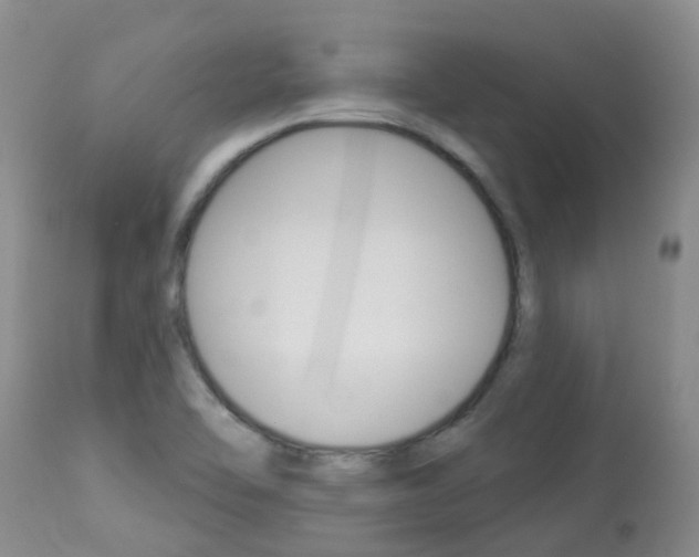 X0000113941462200909250928
