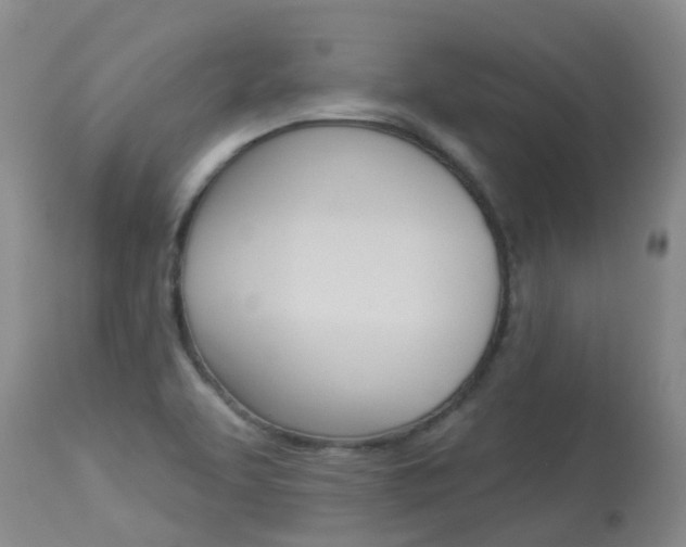 X0000113941463200909250928