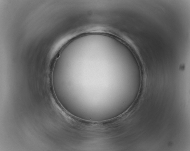 X0000113941464200909250928