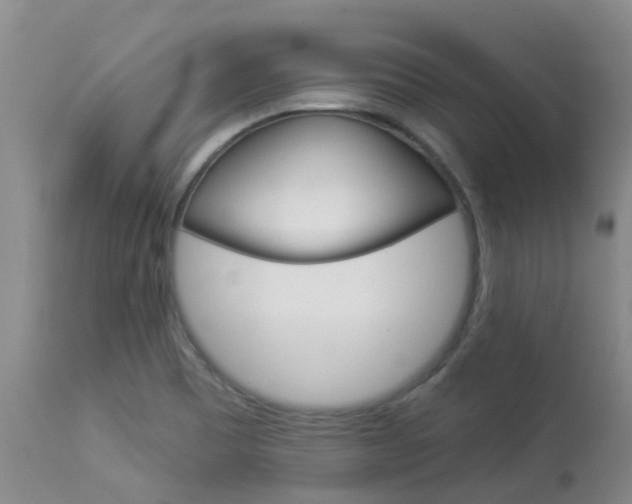 X0000113941465200909250928