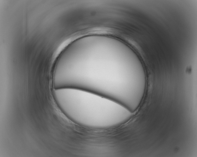 X0000113941467200909250928