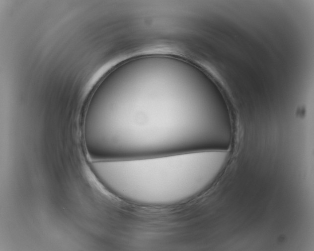 X0000113941468200909250928