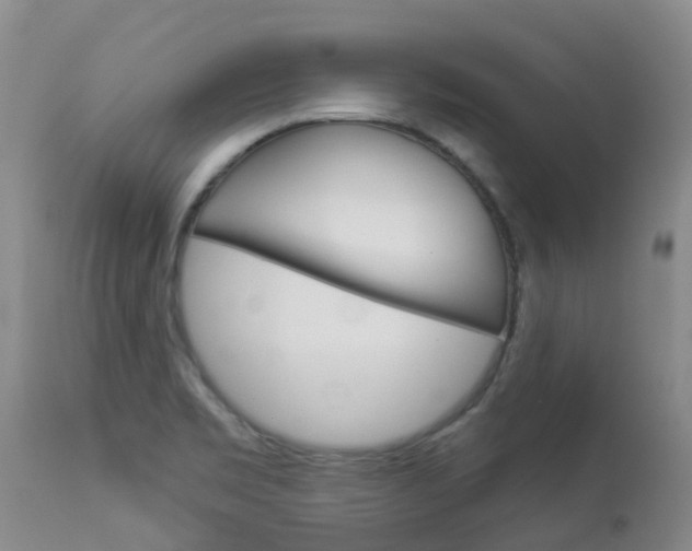 X0000113941469200909250928