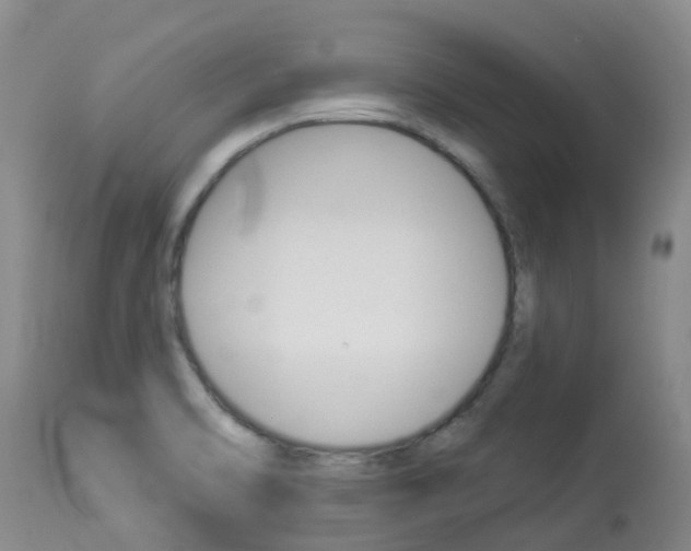 X0000113941470200909250928