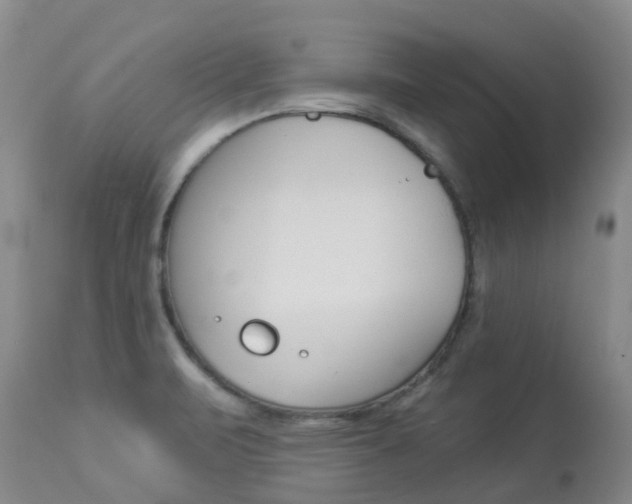 X0000113941471200909250928