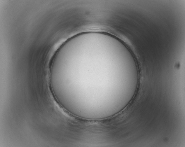 X0000113941472200909250928
