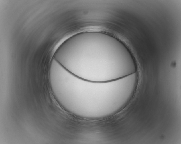 X0000113941473200909250928