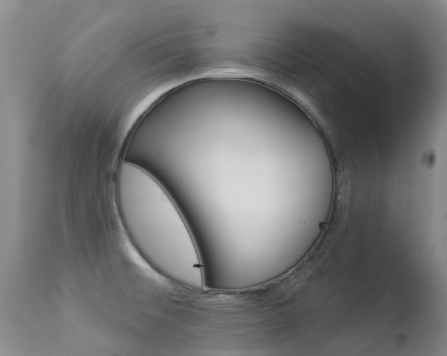X0000113941476200909250927