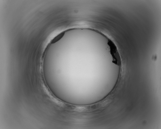 X0000113941477200909250927