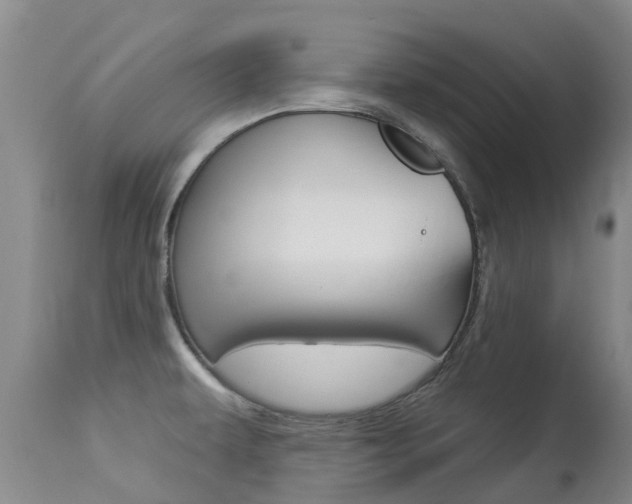 X0000113941479200909250927