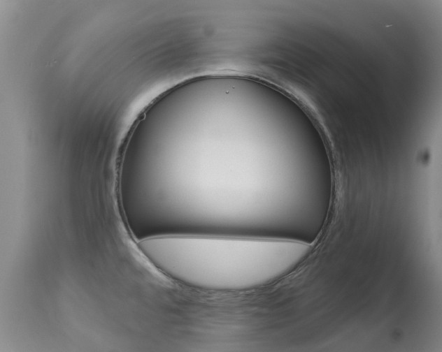 X0000113941480200909250927