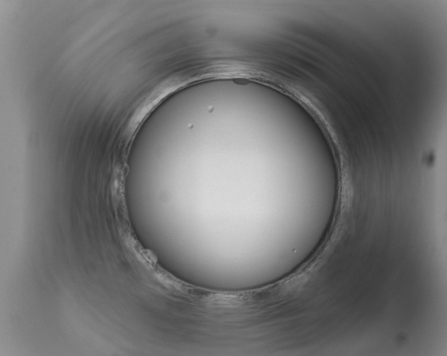 X0000113941481200909250927