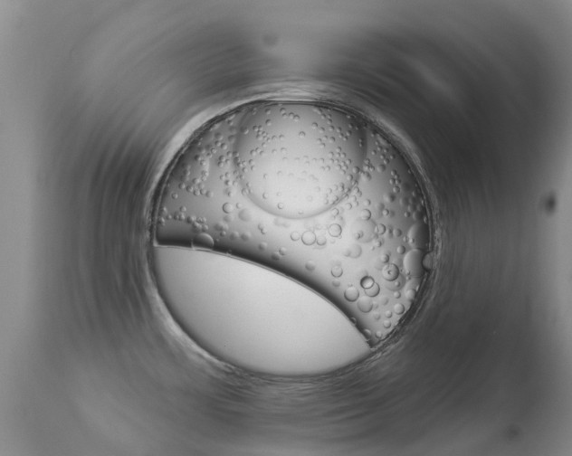 X0000113941483200909250927
