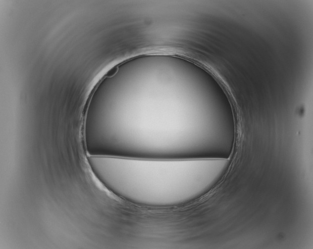 X0000113941484200909250927