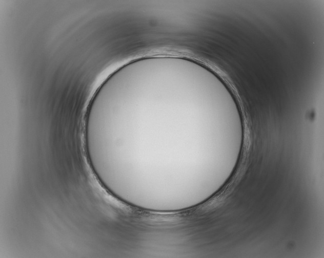 X0000113941486200909250927