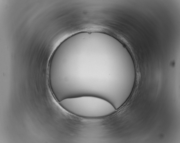 X0000113941487200909250927