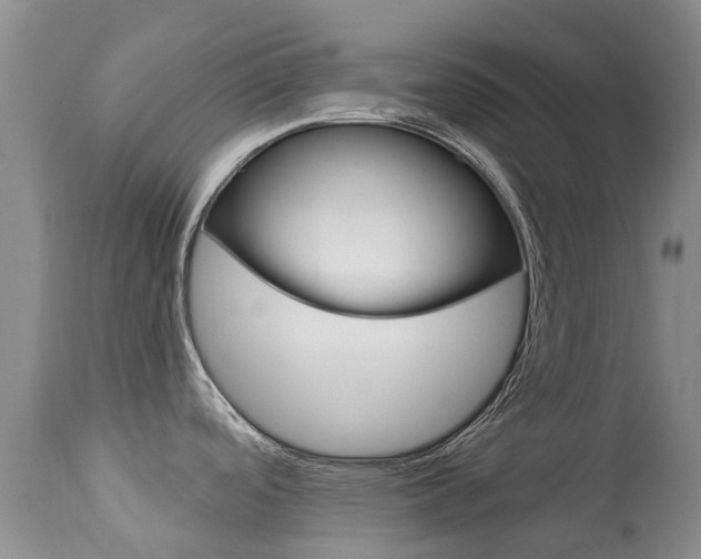 X0000113941488200909250927
