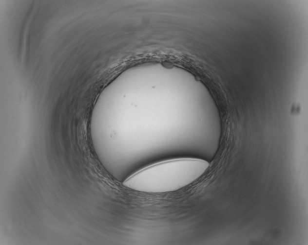 X0000113941489200909250927