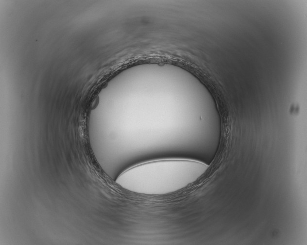 X0000113941490200909250927