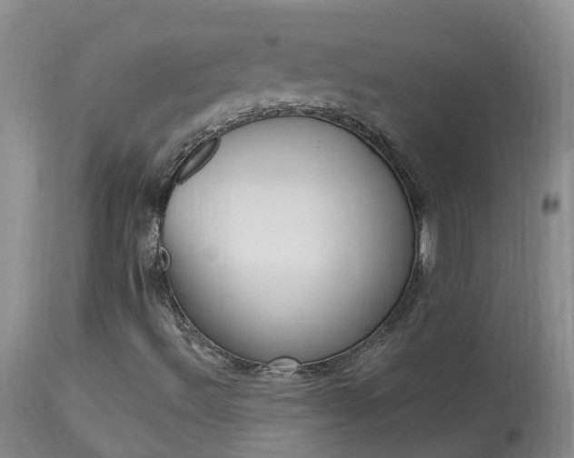 X0000113941492200909250927