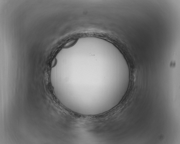 X0000113941493200909250927