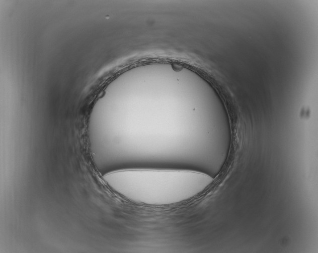 X0000113941494200909250927