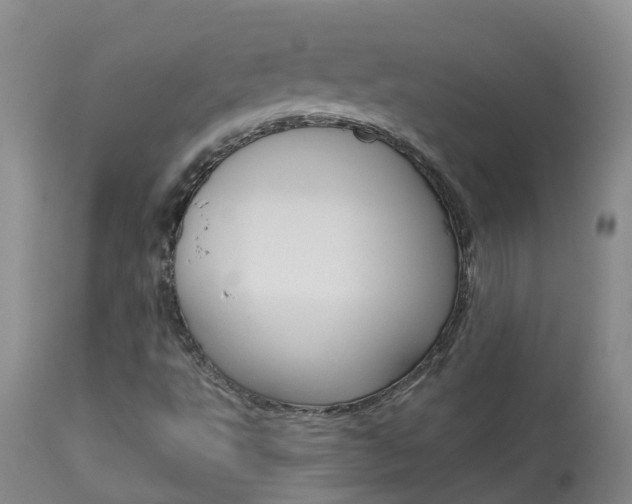 X0000113941495200909250927