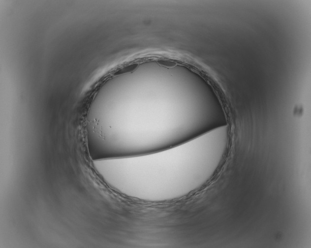 X0000113941496200909250927