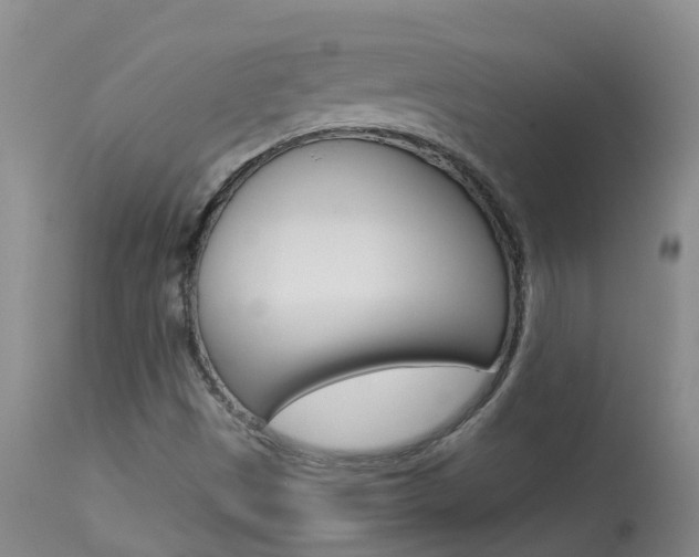 X0000113941497200909250927