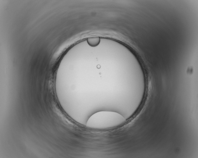X0000113941498200909250927