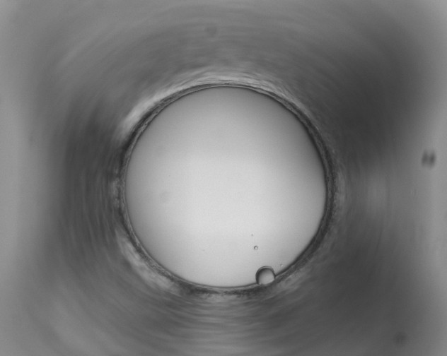 X0000113941499200909250927