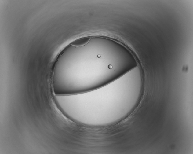 X0000113941500200909250927