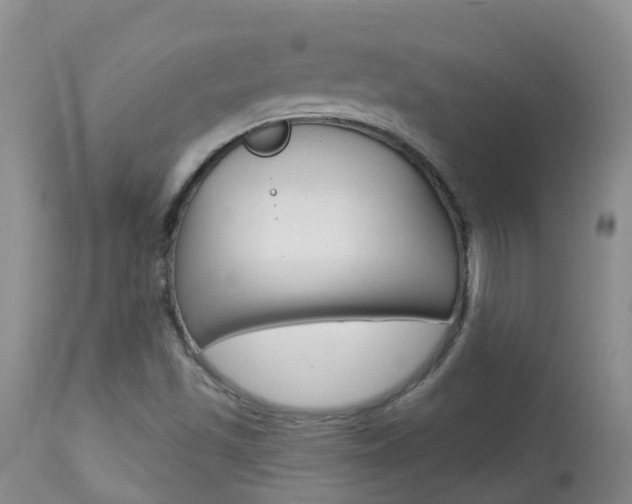 X0000113941501200909250927