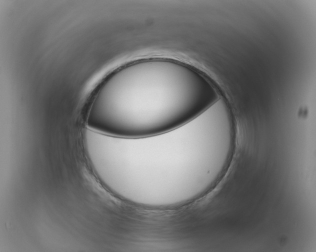 X0000113941502200909250927